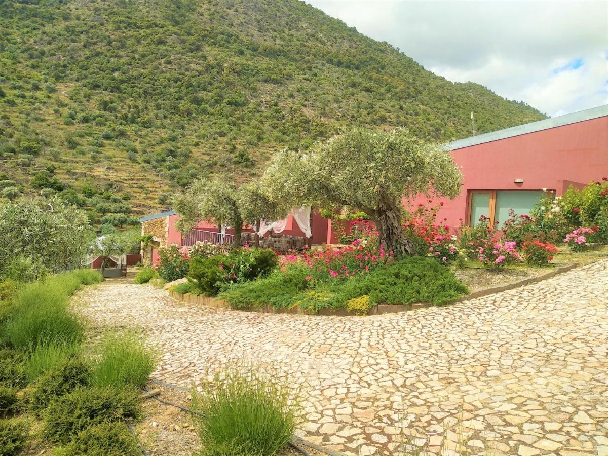 Lagares Douro Villas Pinhal do Douro Exterior foto