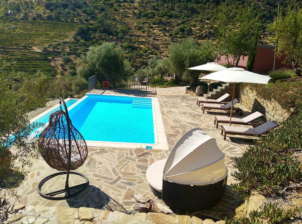 Lagares Douro Villas Pinhal do Douro Exterior foto