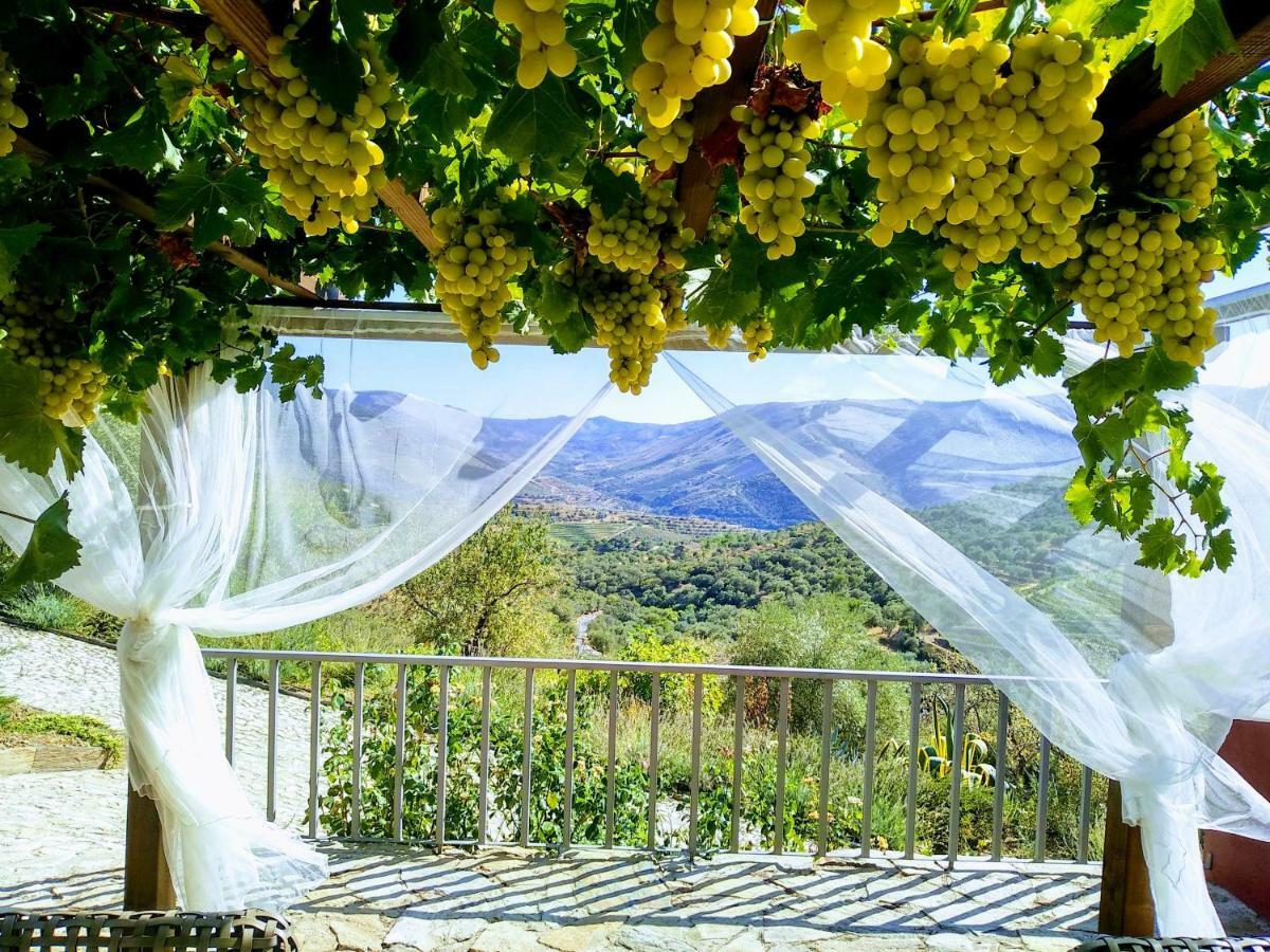 Lagares Douro Villas Pinhal do Douro Exterior foto