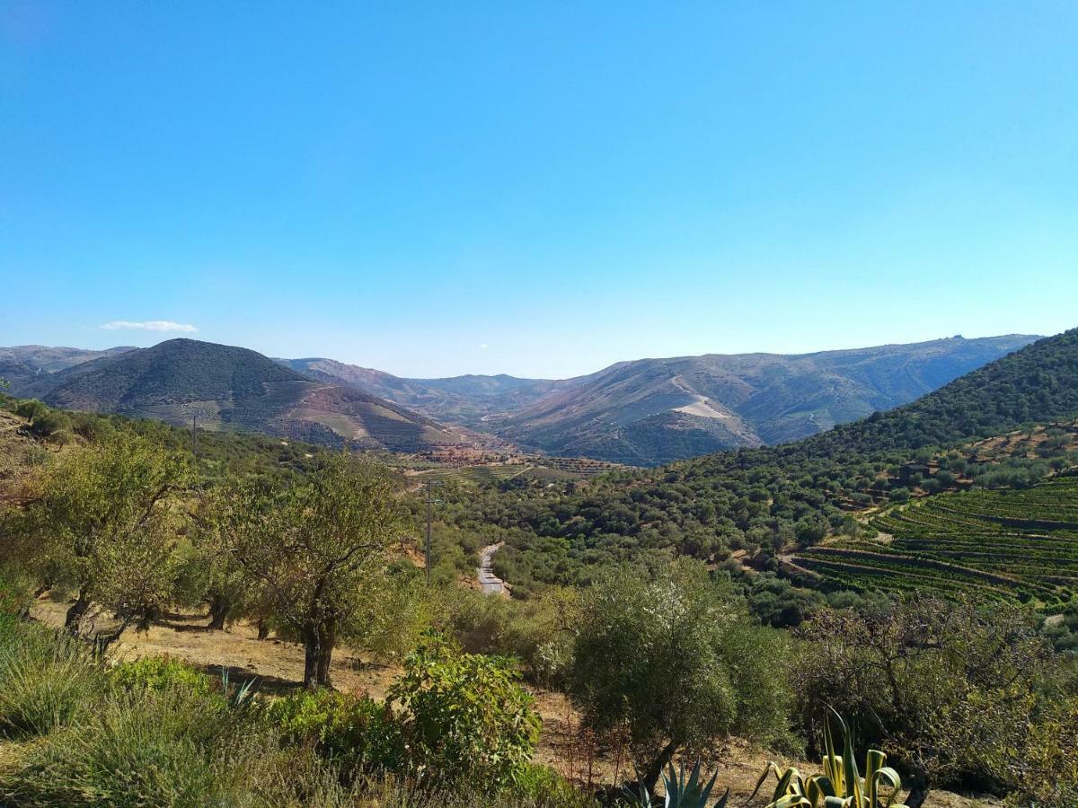 Lagares Douro Villas Pinhal do Douro Exterior foto