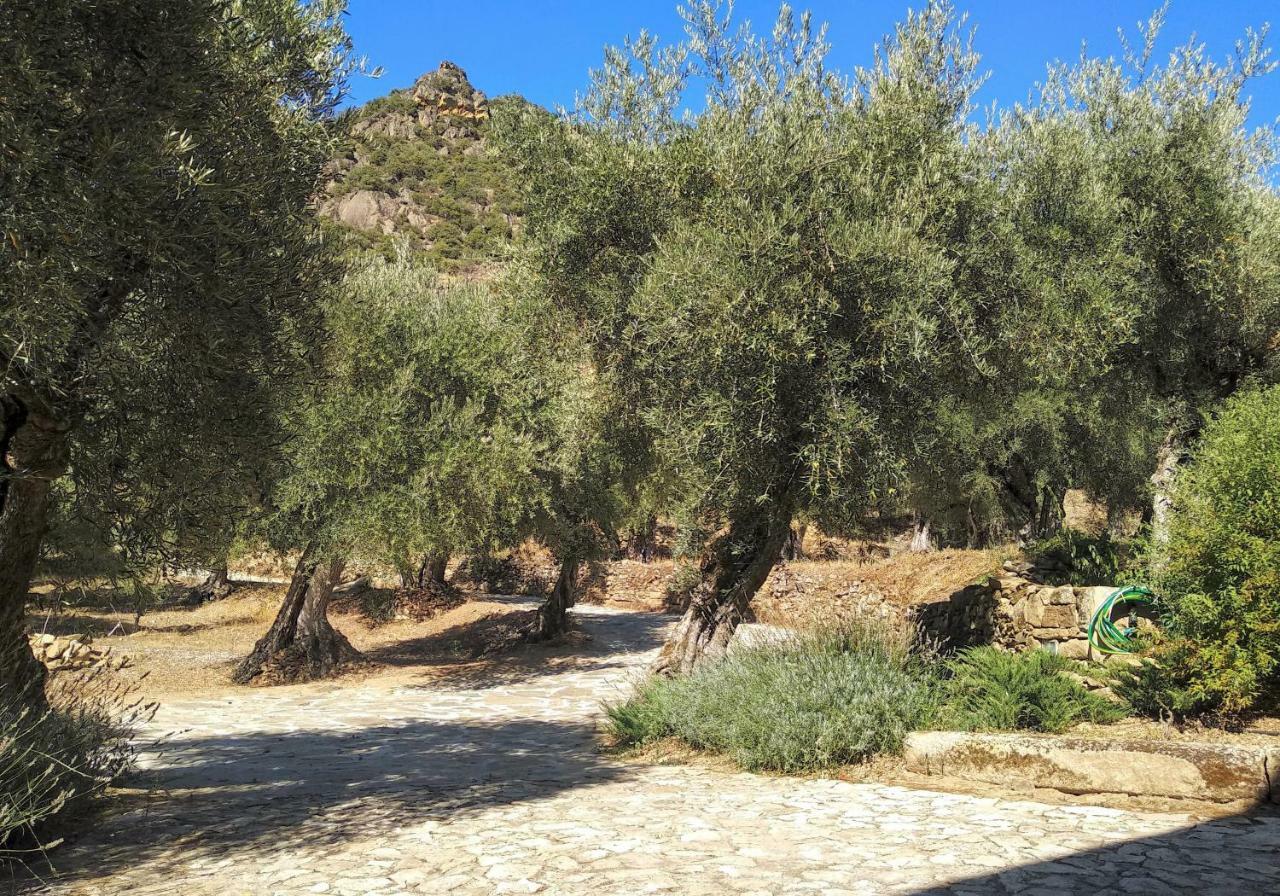 Lagares Douro Villas Pinhal do Douro Exterior foto